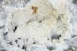 Keokuk Quartz Geode with Columnar Calcite Crystals - Iowa #215033-2